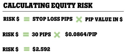Calculating Equity Risk